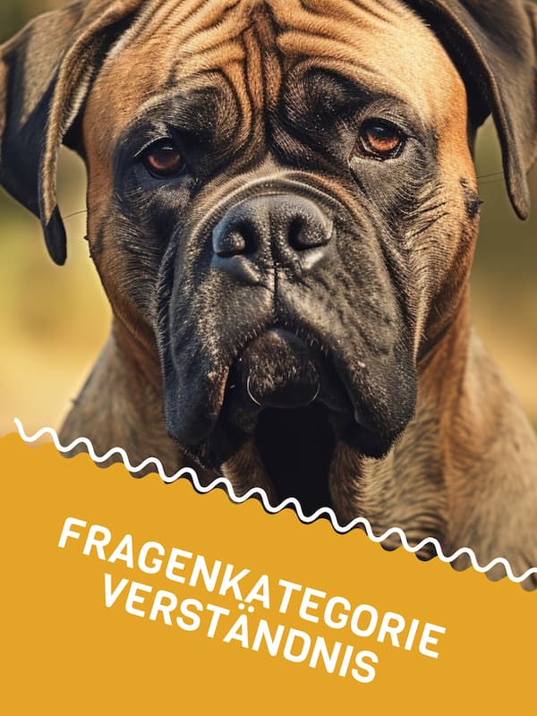 Verständnis