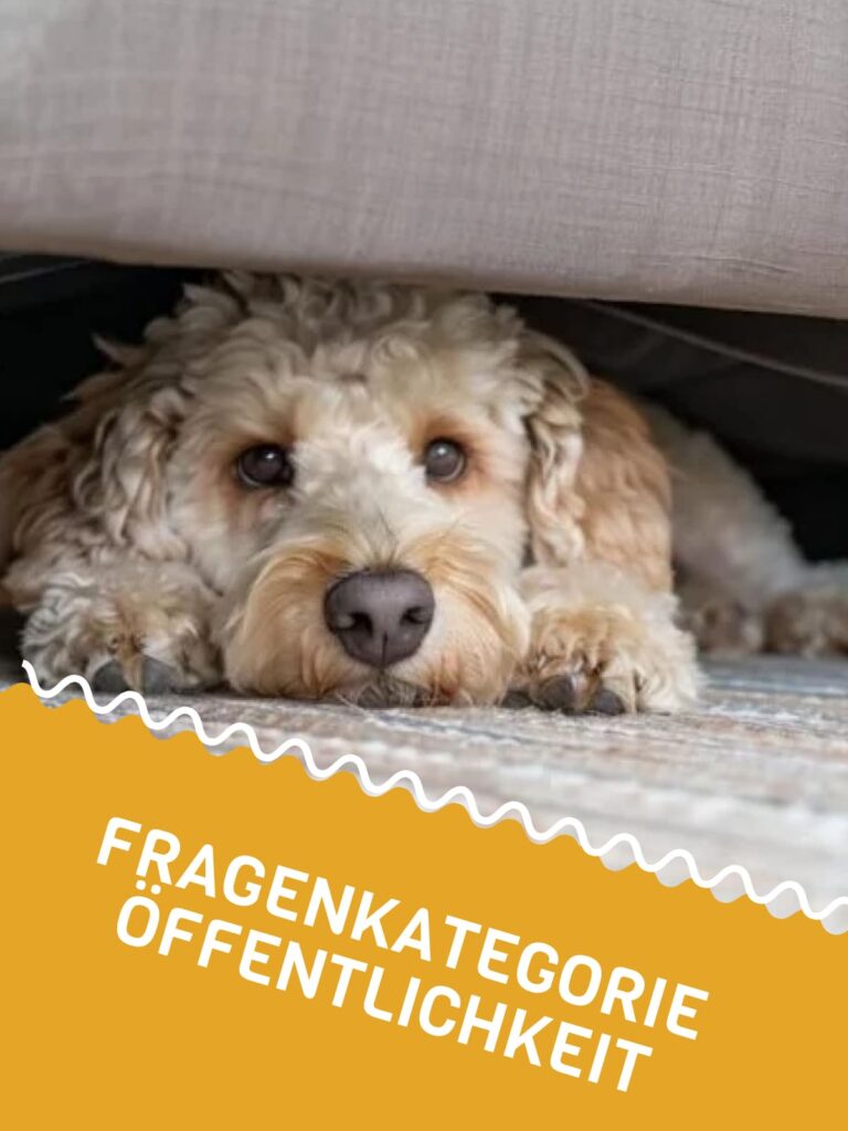 Fragenkategorie Öffentlichkeit